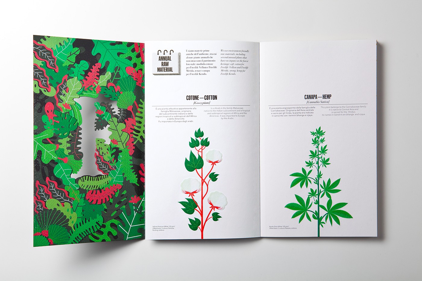 畫冊(cè)設(shè)計(jì)