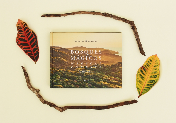 畫冊(cè)設(shè)計(jì)